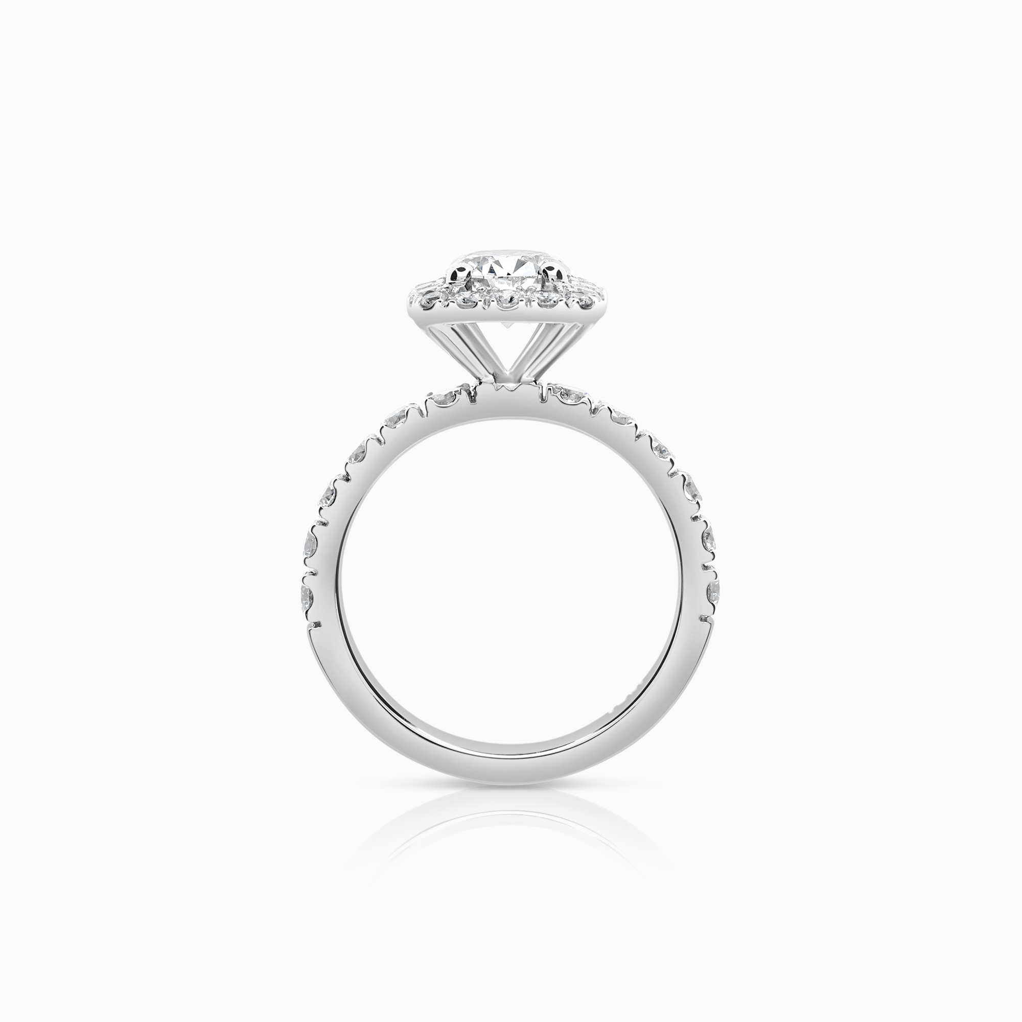 Halo ring 1.56ct 18K white gold